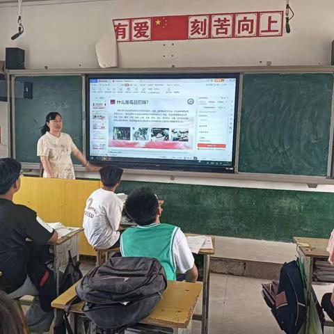干集中心小学开展"护青春·健康人生 绿色无毒"禁毒主题教育活动