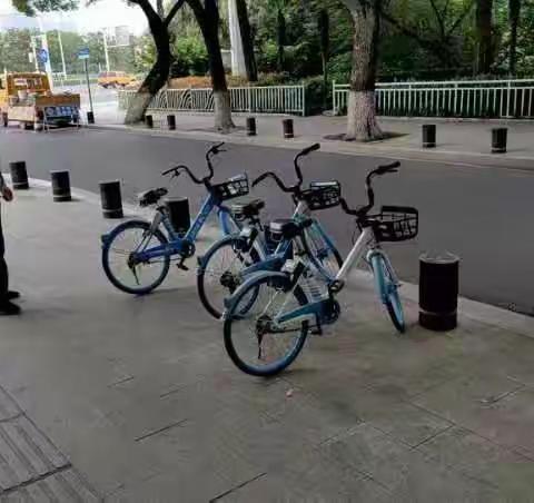 晴川街龙灯社区开展周末义务劳动活