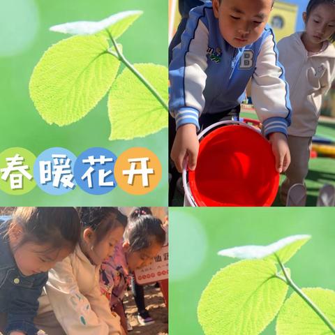 “不负春光  乐享耕趣”——康保县第一幼儿园亲子种植系列活动