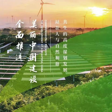 全面推进美丽中国建设 ——玉华第一小学2024年世界环境日宣传