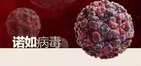 预防诺如病毒致家长一封信