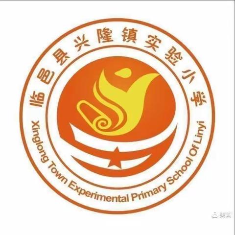 【全环境立德树人】临邑县兴隆镇实验小学stem课程—重力探索之竹签陀螺