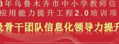 信息技术应用能力提升工程2.0项目乌鲁木齐市第十五小学教育集团培训纪实