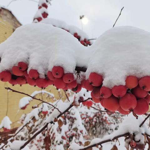 趣味无纸笔 无墨润花香