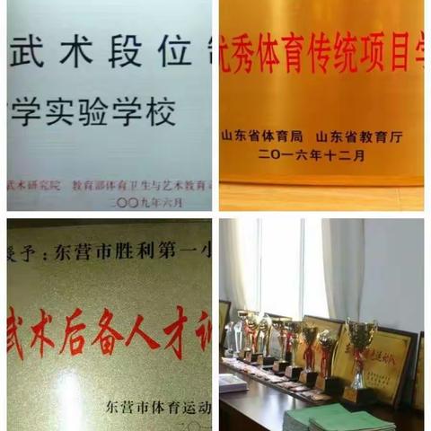 全国武术进校园试点单位审报（东营市胜利第一小学武术开展简介）