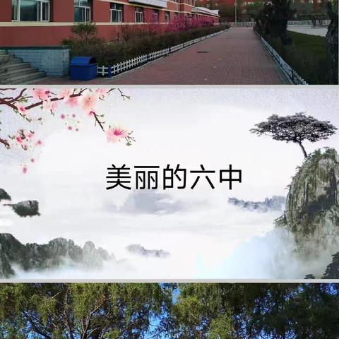 踢出激情  赛出风采——富锦市第六中学校园足球联赛隆重开幕