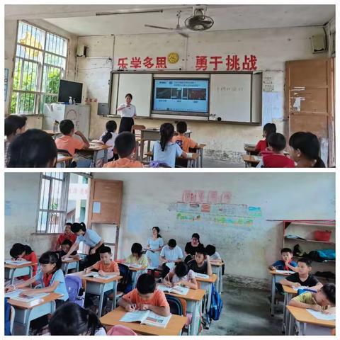 多彩教研，共促成长——记泗门小学数学教研活动