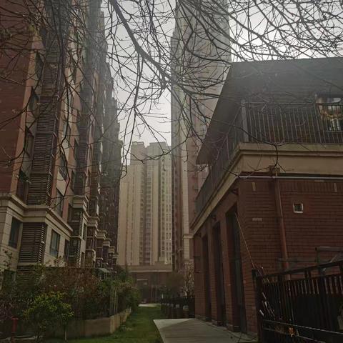 从"声讨"到"声消"：五环调解让厨房风机安静"下岗"的故事——海亮新英里社区五环调解法纠纷化解纪实