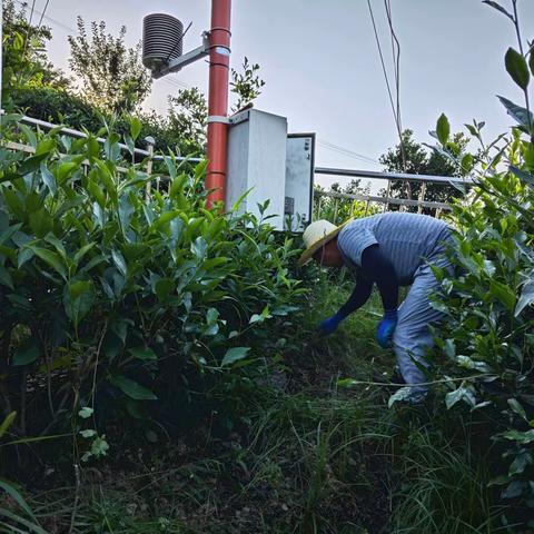 紫阳：强降雨前完成全县气象监测站检修维护