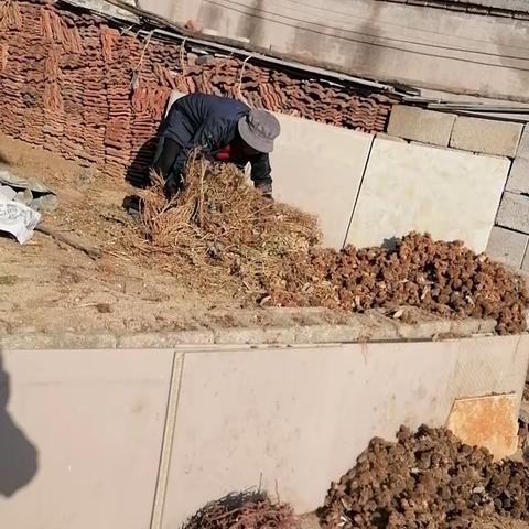 【茶业口镇】埠口村打造美丽乡村，助力乡村振兴