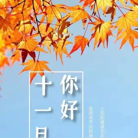 滨湖小区项目11月份美篇