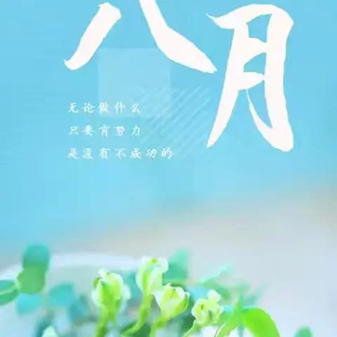 滨湖小区项目8月份美篇