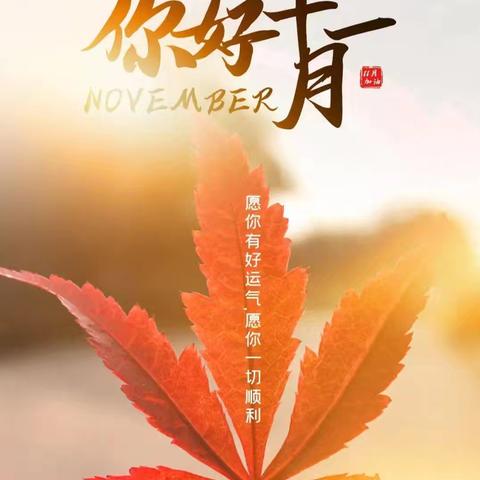 滨湖小区项目11月美篇