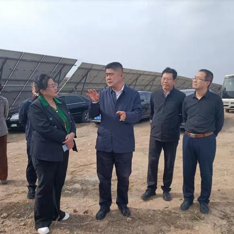 市政协来宣调研“新能源+乡村振兴全覆盖"工作