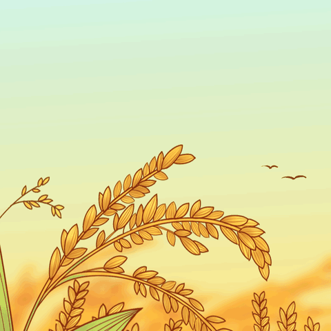 亩产1200斤！邑城镇引进优质小麦品种农大761、马兰一号喜获丰收