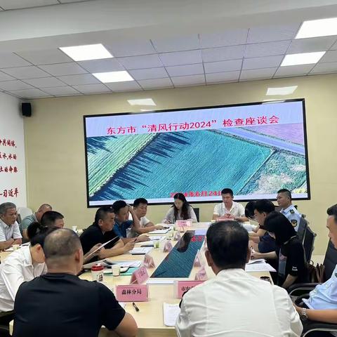 东方市召开“清风行动2024”检查座谈会