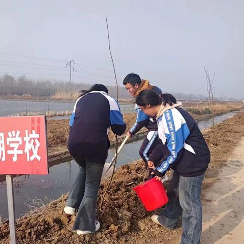 “植”此青绿，正“植”有你----五河县沱湖学校参加沱湖乡义务植树活动