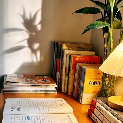 2026我的寒假生活 杨皓文 252852