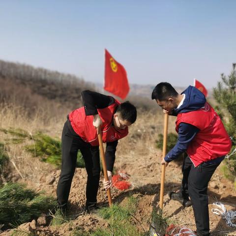 “植"此青绿，春"锋”有你,共建美丽离柳，我们在行动