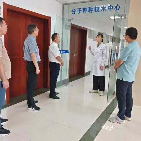 明溪县人民政府与安徽荃银高科种业股份有限公司、安徽荃丰种业科技有限公司签订战略合作协议，助力种业发展