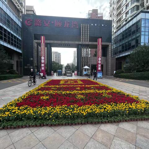 郜丫头👑的简篇