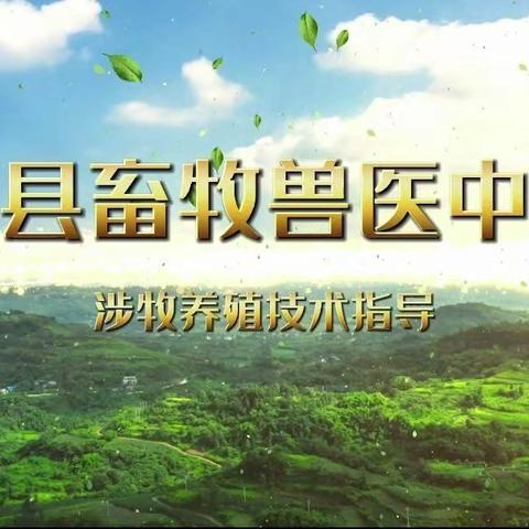 隰县畜牧兽医中心 对涉牧养殖企业应对强降水、降温、大风天气技术指导