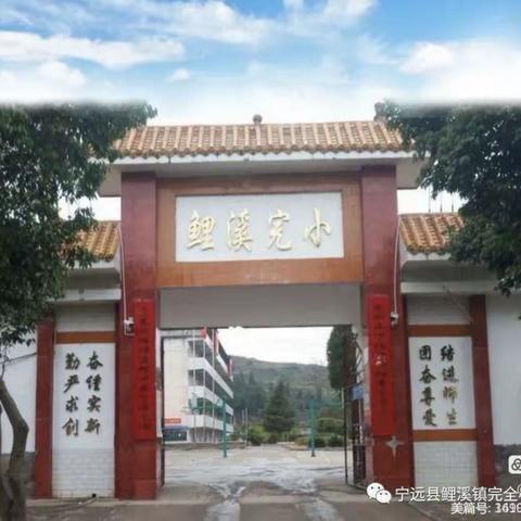 多彩校园，活力社团—鲤溪完小第十一周课后服务简报