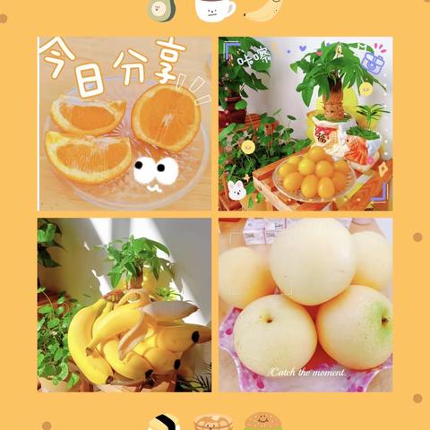 🌾🍄“美食🍜不断”🎊🎊——开鲁县第三幼儿园美食美篇🍎🍇