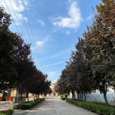 科学用眼，呵护心灵的窗户——记西阳九年制学校近视防控教育活动