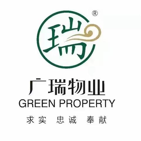 曲江第三中学2023年11月工作月报