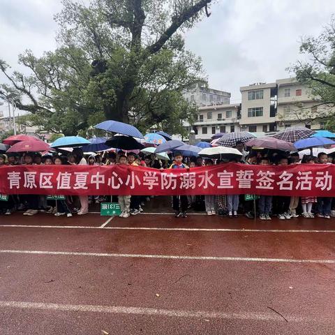 珍爱生命 预防溺水——值夏中心小学开展防溺水宣誓签名活动