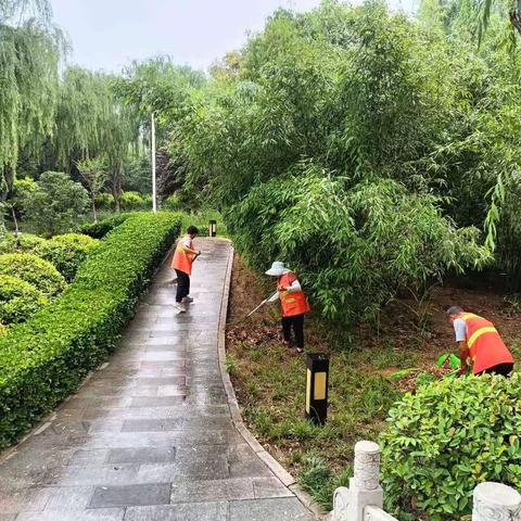 高新投园林公司积极应对强降雨天气 全面筑牢防汛安全防线