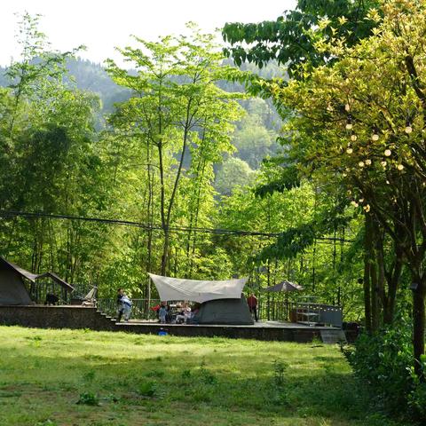 勇攀高峰 超越自我 | 农行青白江支行工会春日登山活动