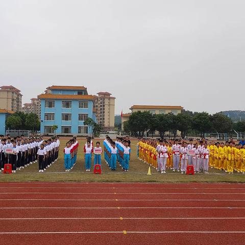 扬武术精神，展阳光活力 ——2023年沙堆镇中小学蔡李佛武术操比赛（副本）