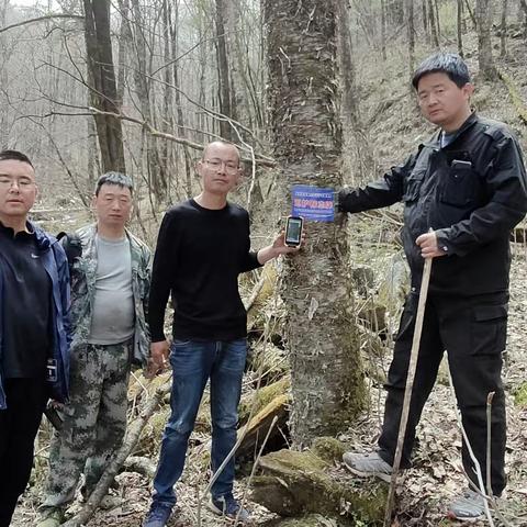 板房子保护站4月份巡护纪实