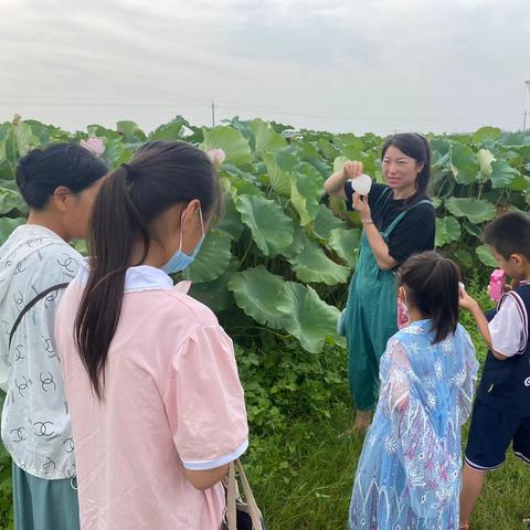 “荷”你一起玩转夏日——兰考园艺场研学旅行活动