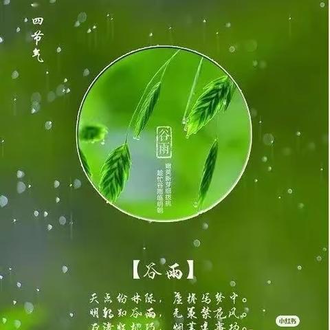 谷雨时节，不负好时光——世纪星幼儿园二十四节气之谷雨活动