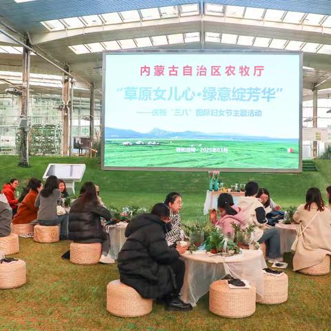 “扎根沃土绽芳华 巾帼建功新时代” 自治区农牧厅开展庆祝“三八”国际劳动妇女节系列活动（二）