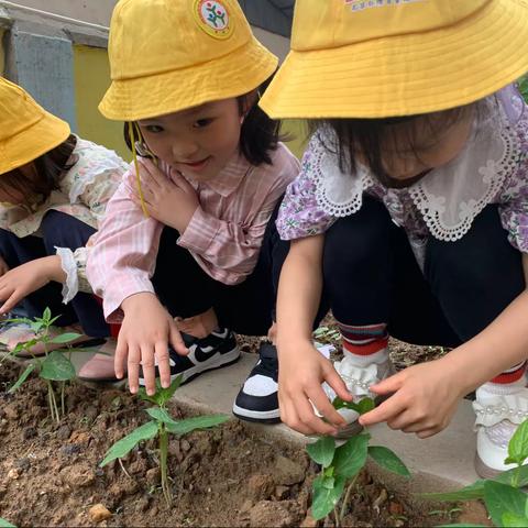 南康区育童幼儿园中三班一周精彩瞬间