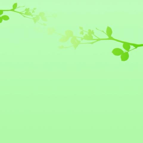 教研领航共成长，凝心聚力拓新程——第九初级中学小学部3月份数学教研活动纪实
