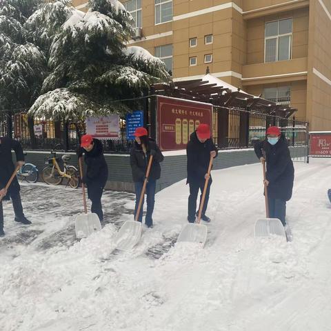 以雪为令    党员先行 清扫积雪净校园 齐心协力促安全 ——丛台区春光小学党员志愿者开展清扫积雪活动