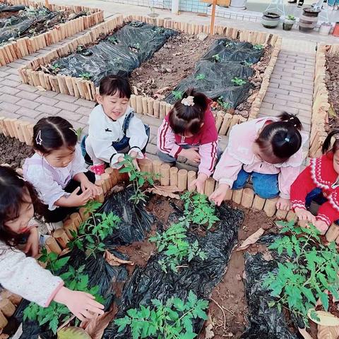 🍊班的👧🏻👦🏻的小可爱💞