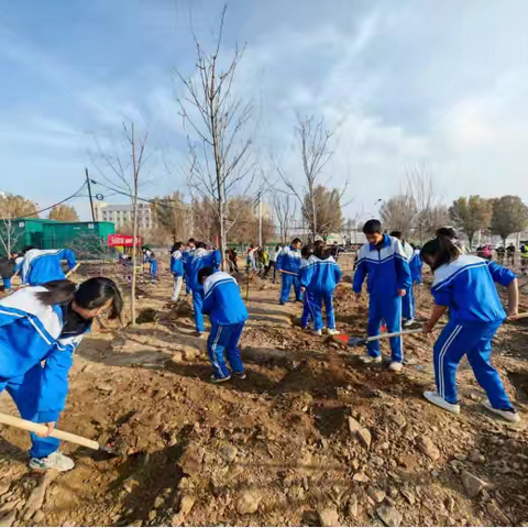 师生携手添新绿 ﻿齐心协力建家园乌鲁木齐市第八十五中学开展秋季植树活动