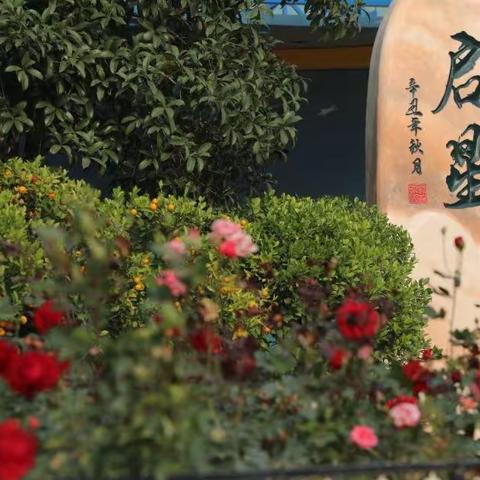 402班第十四周周记