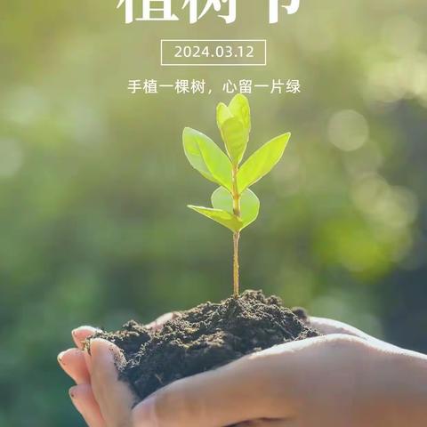 “拥抱春天，呵护绿色”——未来智慧幼儿园  植树节