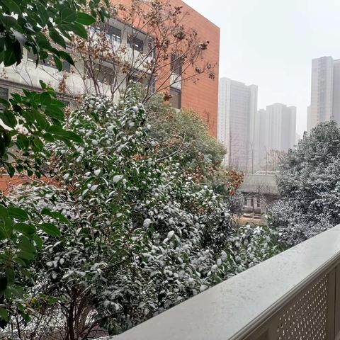 今年冬天的第一场雪