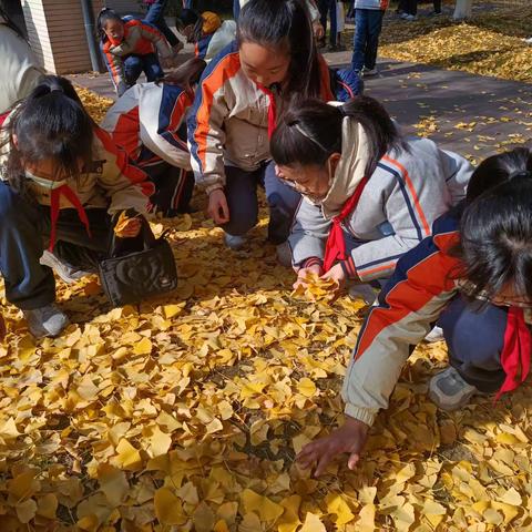 留住这一抹金色的秋