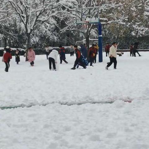 下雪啦！下雪啦！我要和雪合个影