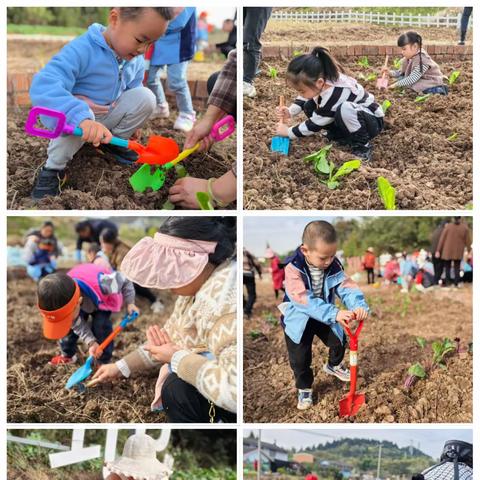 “拥抱自然 快乐种植”——罗江区一幼中一班、中二班种植活动