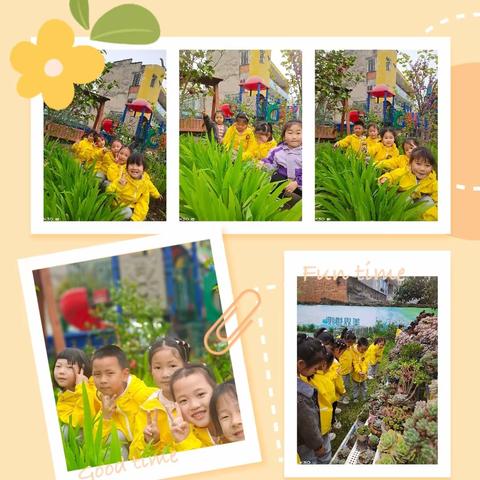 美好时光剪影分享来啦！